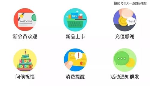 融合短信營銷技巧與信息系統運行維護服務，打造穩固顧客關系